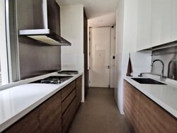 Leedon Residence (D10), Condominium #456554481
